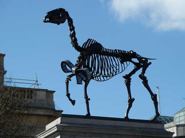 Дарований кінь: нова скульптура на Трафальгарській площі