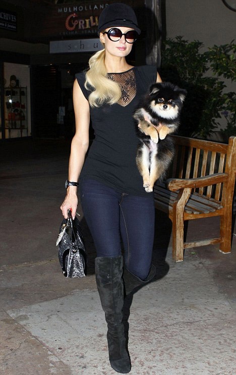 Пэрис Хилтон