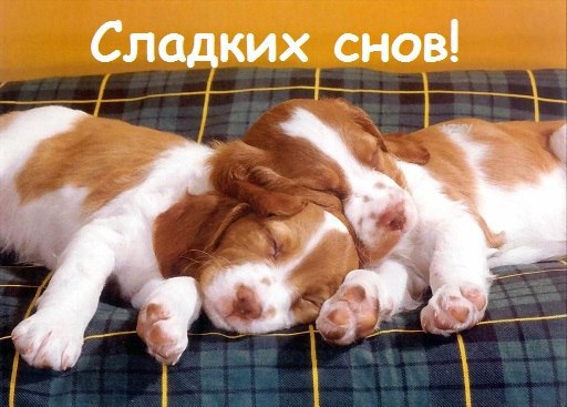Сладких снов!
