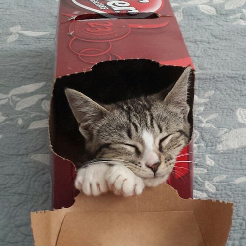 Обожатели коробок