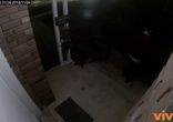 Чувака зафрендзонила девушка