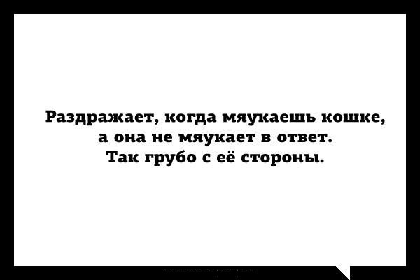 Милые картинки с текстом