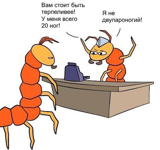 Девушка и многоножка