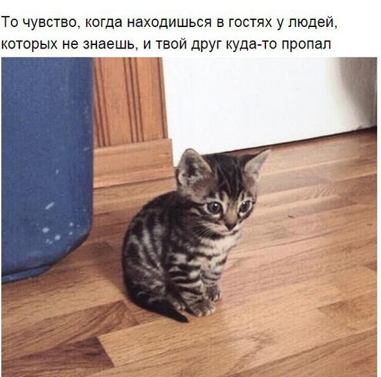 То чувство, когда...