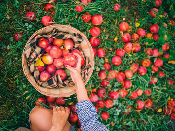 Яблочный Спас 2021: красивые поздравления в прозе с картинками