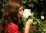 Лепестки розы продлевают молодость
