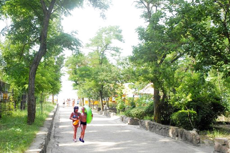 Летний лагерь для детей 2016: MagicCamp Коблево