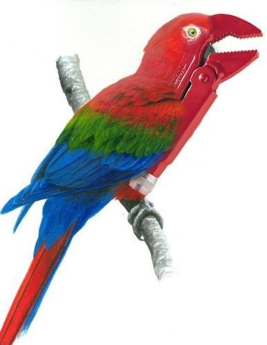 Как использовать животных