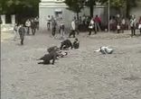 FlashMob 10