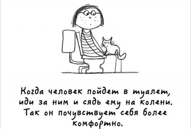 Милый комикс про котов