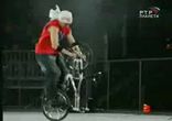BMX - битва