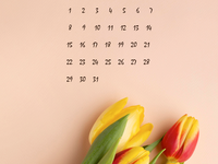 Тюльпаны смартфон: март 2021