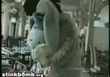 Перепуг