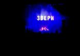 Звери - Районы, кварталы