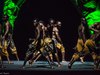  Друг Денев и Депардье привезет в Киев Африку за $3 млн