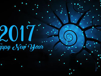 С Новым годом 2017