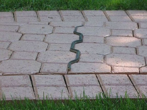 Маскировка 80 уровня