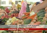 Украина в 17 раз увеличила экспорт овощей в Россию