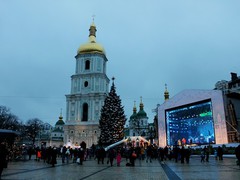 Новости города: 26-метровая ёлка к Новому году 2017 едет в Киев