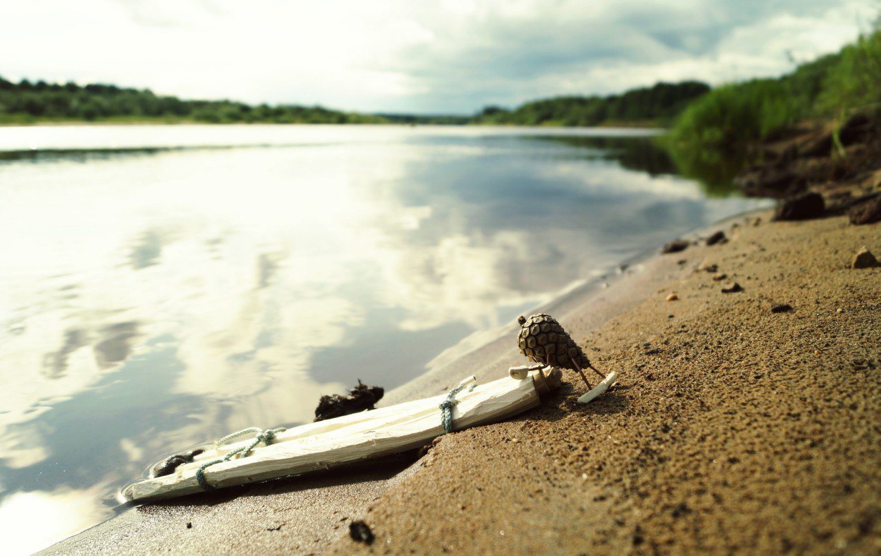 #ПутешествиеСосновойШишки часть 2