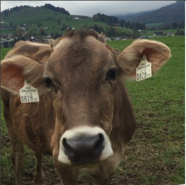 Виктория Боня