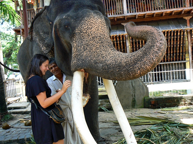 5 причин поїхати в Коломбо: зоопарк Коломбо