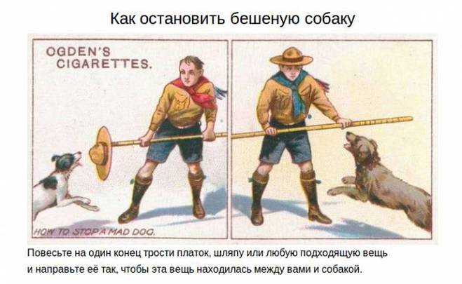 Советы на все случаи жизни