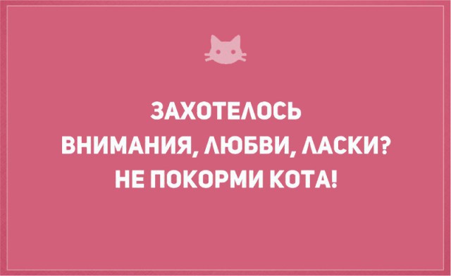 Без кота и жизнь не та