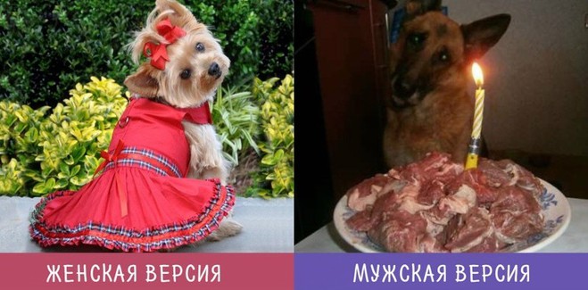 Мужской и женский взгляд на вещи