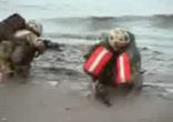 vilaska US army