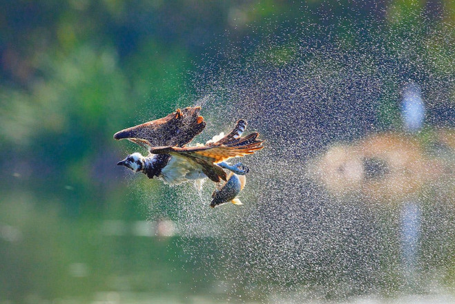 NATIONAL GEOGRAPHIC TRAVEL PHOTOGRAPHER