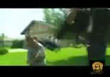 Смертельное кунгфу     )))))
