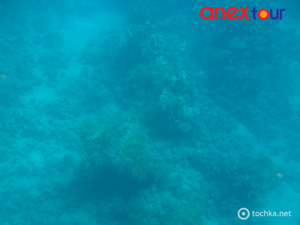 04 Шарм-ель-Шейх риби