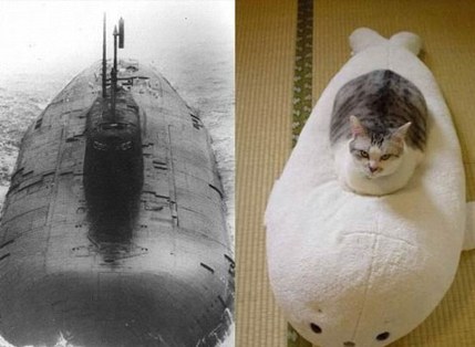 Найди 10 отличий