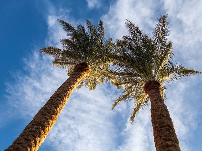 Єгипет, готель Jaz Makadina