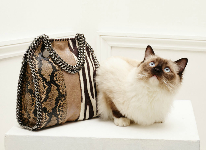 Stella McCartney Fall 2016 accessories