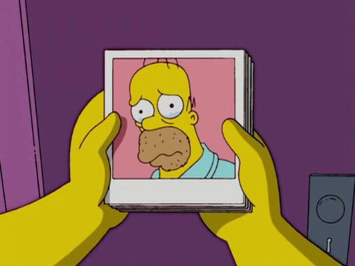 Комикс про Гомера и фотографии