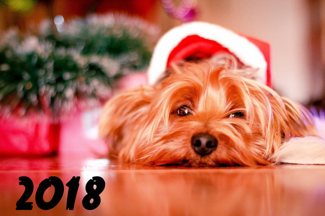 Прикольные открытки к Новому году собаки 2018