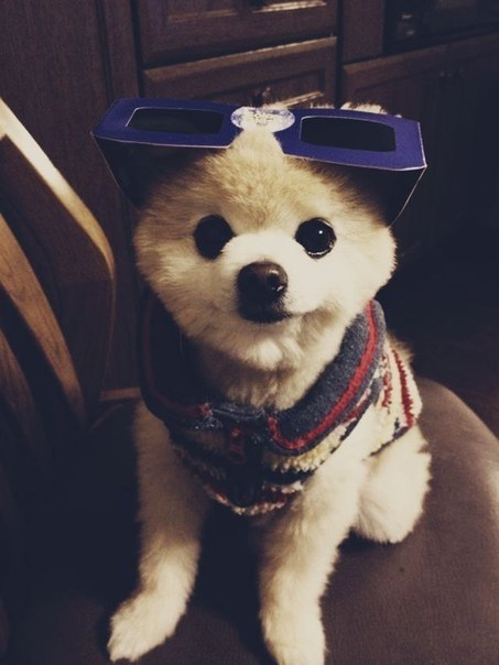 Самая милая няшка