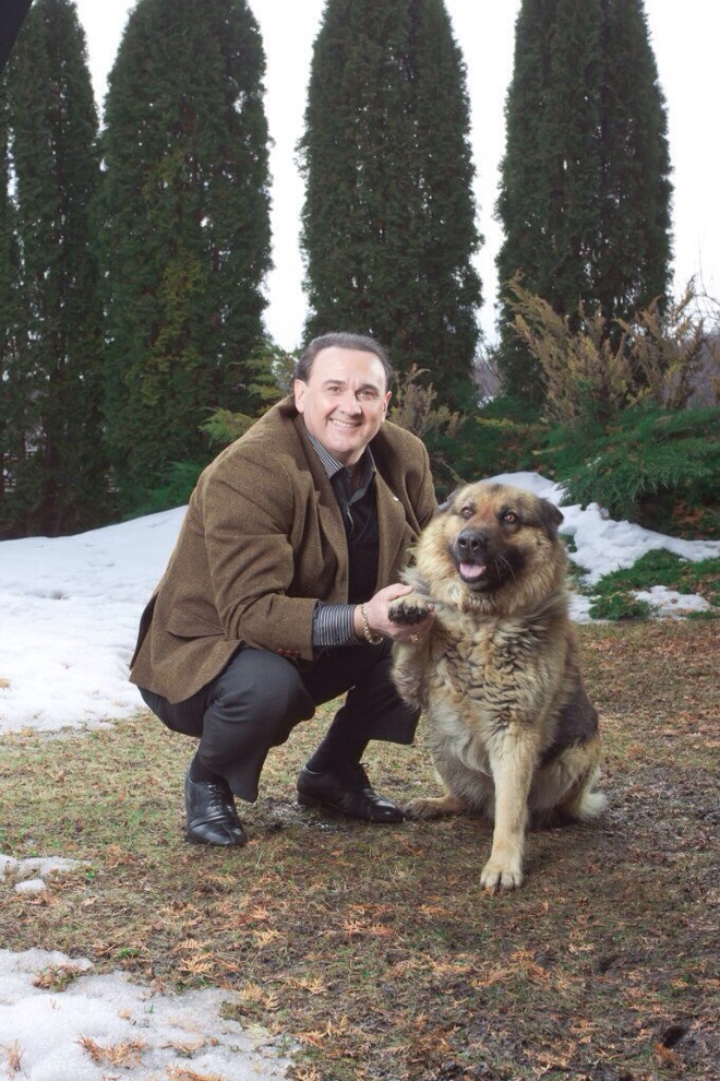 звездные питомцы