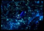 FF X 05