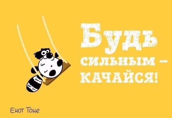 Мудрые советы от енота Тоне