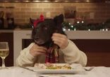 Самые культурные собаки за рождественским столом