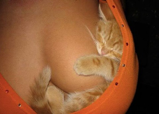 ec9dfa1a49663aa5844761394cac853a_1101972