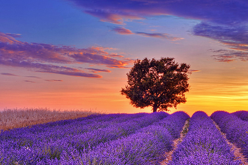 Кінотуризм: 7 неймовірних пейзажів з фільмів