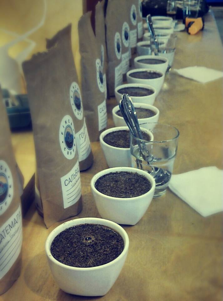 Whitebeard Blackbird