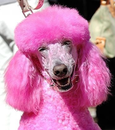 Розовые зверушки