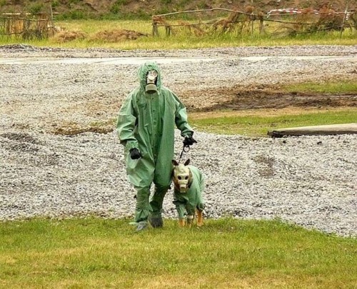 Смешные фото