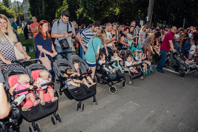 Неля Шовкопляс