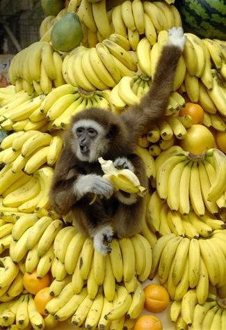 Падхады, дарагой! Покупай банан! Свэжий банан!
